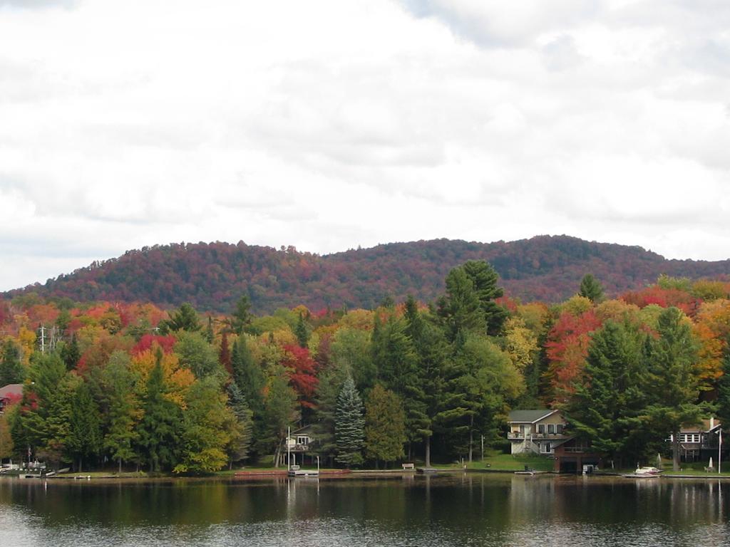 Pine Knoll Hotel Lakeside Lodge & Cabin 올드 포지 객실 사진